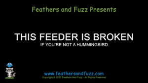 This Feeder is Broken - Feature Image