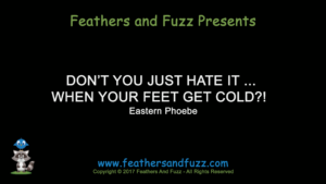 Cold Feet - Feature Image
