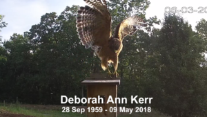 Deborah Ann Kerr